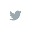 Twitter Twitter